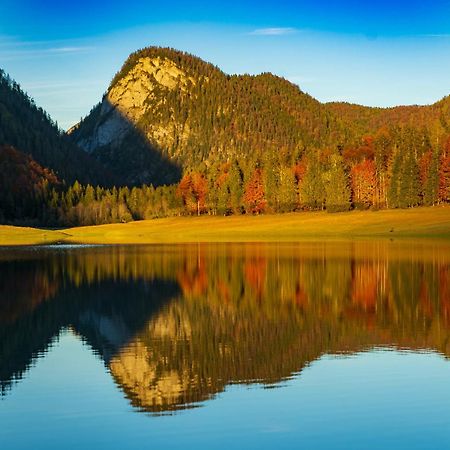 Ferienwohnungen Hollweger Inkl. Chiemgaukarte Ruhpolding Dış mekan fotoğraf