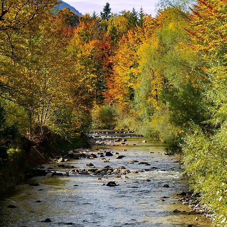 Ferienwohnungen Hollweger Inkl. Chiemgaukarte Ruhpolding Dış mekan fotoğraf