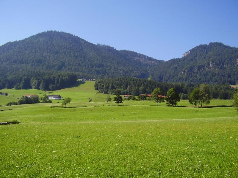 Ferienwohnungen Hollweger Inkl. Chiemgaukarte Ruhpolding Dış mekan fotoğraf