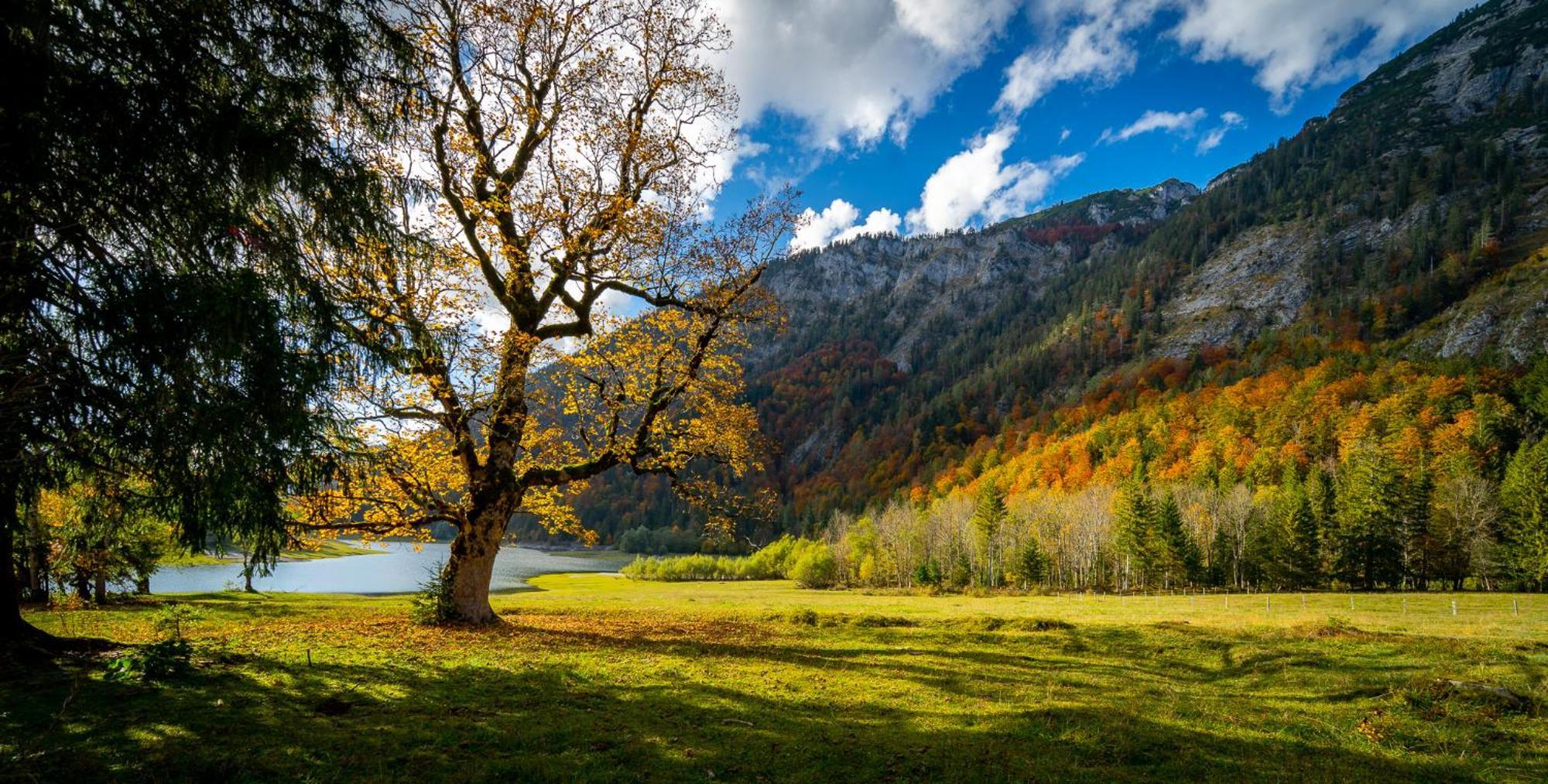 Ferienwohnungen Hollweger Inkl. Chiemgaukarte Ruhpolding Dış mekan fotoğraf