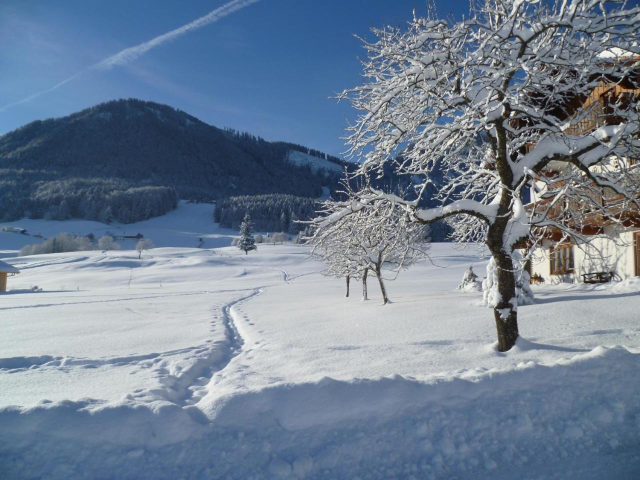 Ferienwohnungen Hollweger Inkl. Chiemgaukarte Ruhpolding Dış mekan fotoğraf